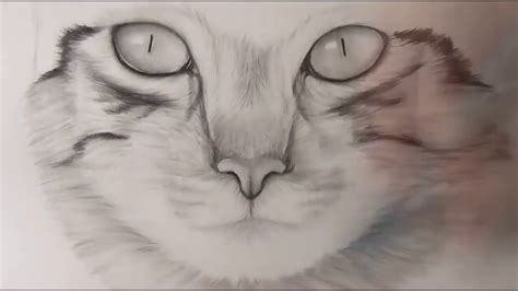 Hewan, kucing easy, few steps, video lessons on how to draw cartoons, . Gambar kucing 3d menggunakan pensil - YouTube