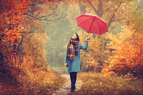 1000 Lonely Woman Walks With An Umbrella In The Rain Stock Photos