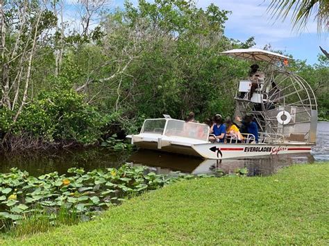 Everglades Safari Park Miami Aktuelle 2019 Lohnt Es Sich Mit Fotos