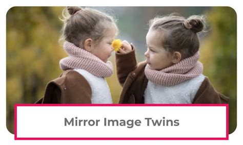 What Are Mirror Image Twins Answers To Common Mirror Twin Questions