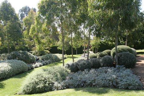 Australian Native Garden Design Ideas - Native Plant Project
