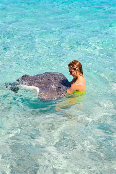 grand cayman stingray city tour katie s bliss