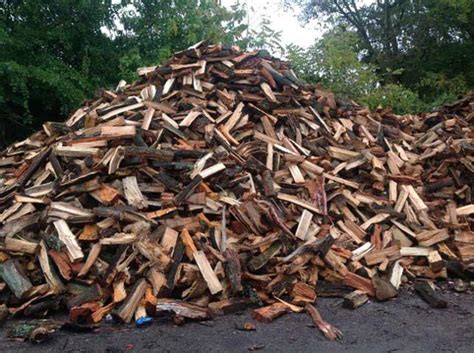 Professional tree trimming & removal services on hirerush.com. Lexington Tree Service - wood-for-sale