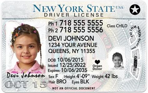 New York Kid Driver License For Children Under 12 1 Cute Pooch