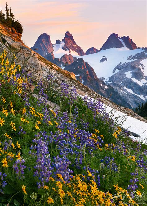 Alpine Garden Cascades Wa Art In Nature Photography