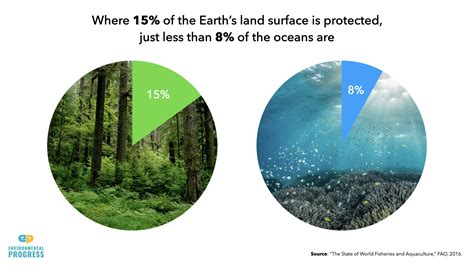 How Can We Reduce The Impact Of Overfishing Sustainable Solutions