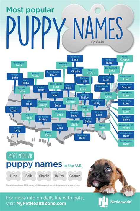 Most Popular Puppy Names By State