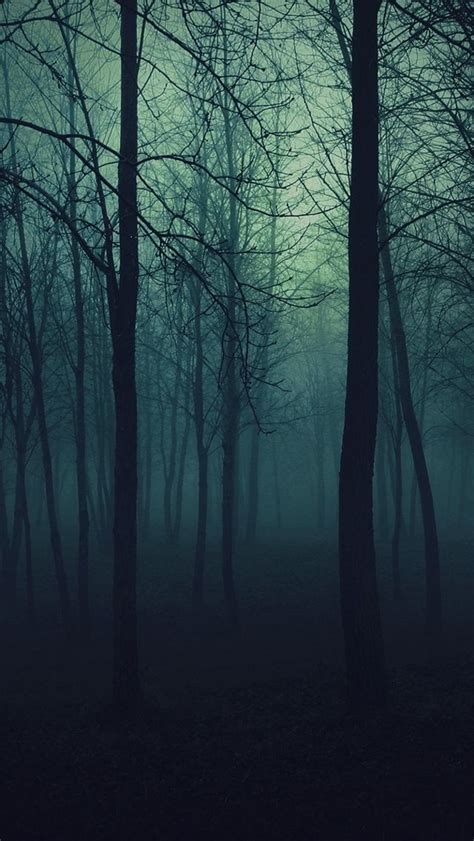 Dark Forest The Iphone Wallpapers