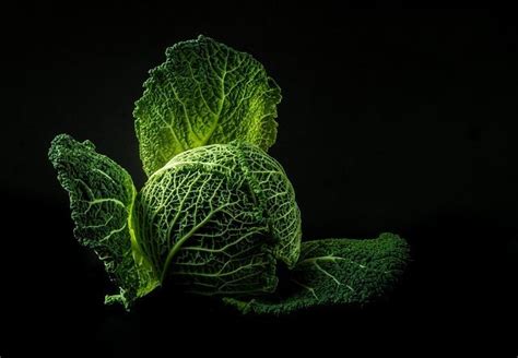Health Benefits Of Dark Leafy Green Vegetables Food N Health