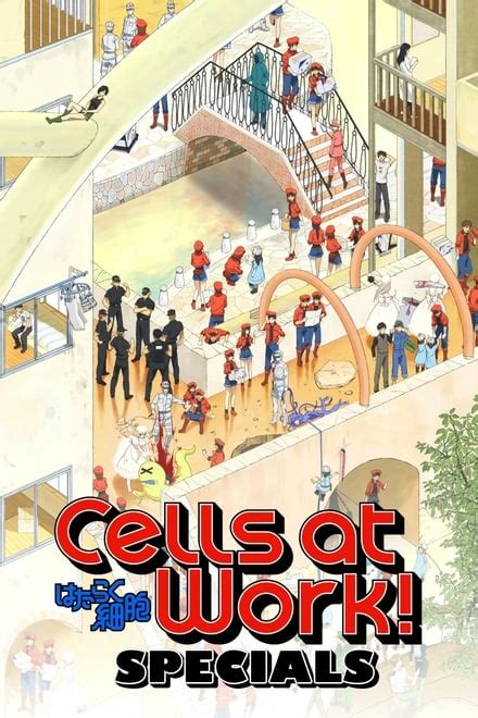 Cells At Work Tv Series 2018 Posters — The Movie Database Tmdb
