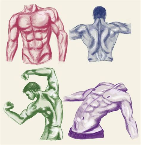 Male Torso And Back Study By Sh3ikha Eye Drawing Tutorials Art