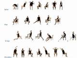 Easy Stretching Exercises For Seniors Pictures