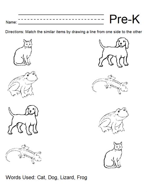 6 Best Images Of Pre K Worksheets Packets Printable Free Printable