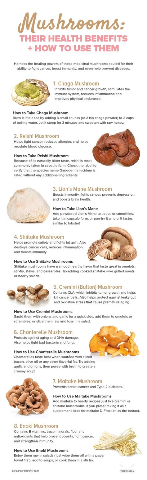 Medicinal Mushrooms For Weight Loss All Mushroom Info