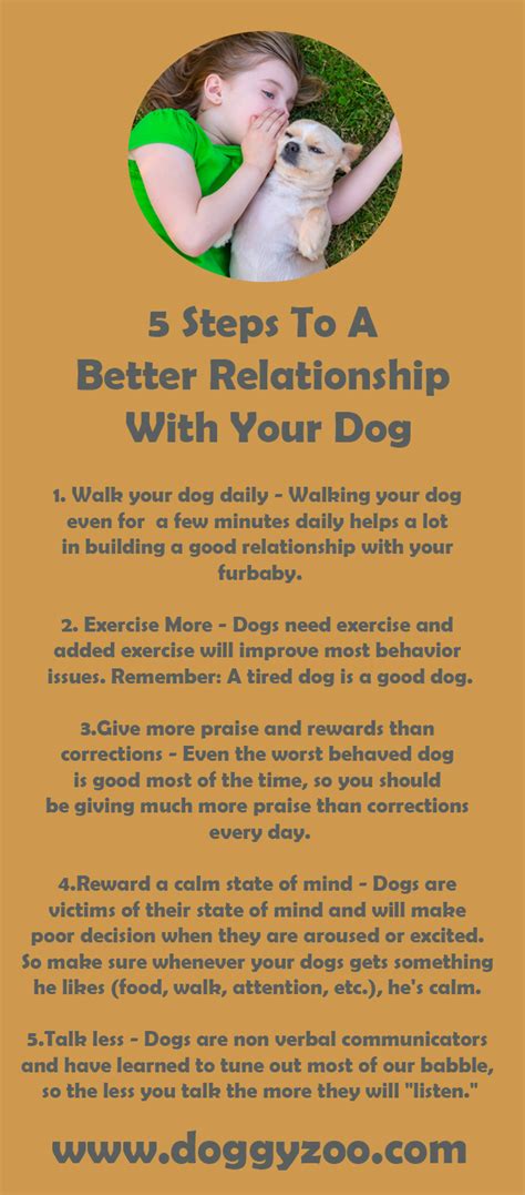 5 Steps To A Better Relationship With Your Dog