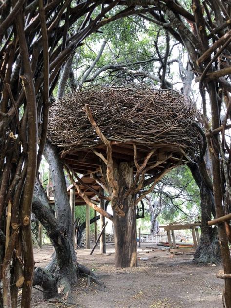 Human Sized Bird Nests Invite You To Enjoy The View Like Our Feathered