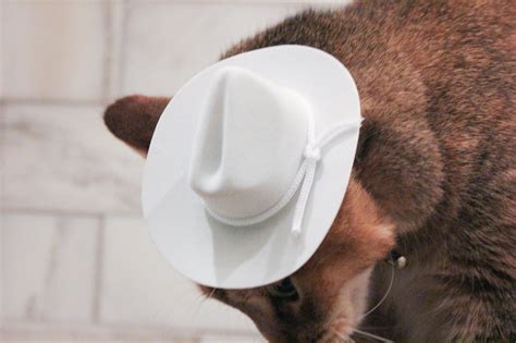 White Cowboy Cat Hat Dog Hat W Free Shipping Etsy Canada