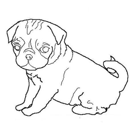 Free Dogs Outline Download Free Dogs Outline Png Images