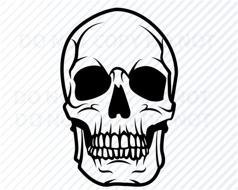 Skull Svg Human Skull Vector Images Silhouette Clip Art For Etsy Uk