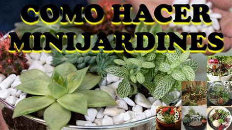 Cómo Crear Un Jardín De Cactus Y Suculentas Una Guía Paso A Paso La Huerta De Antonio