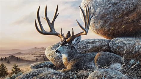 Acrylic Landscape Speed Painting Mule Deer At Sunset Youtube