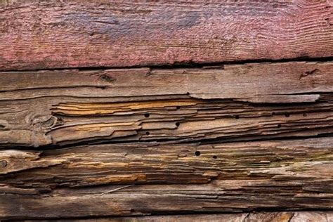 Free Texture Close Up Damaged Paint Peeling Plank Rotten Wood