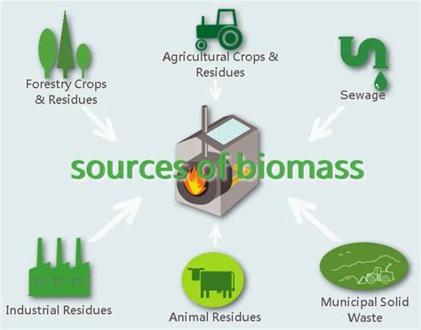 Types Of Biomass Bioenergy Consult