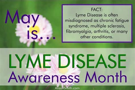 Lyme Disease Awareness Month Medizzy