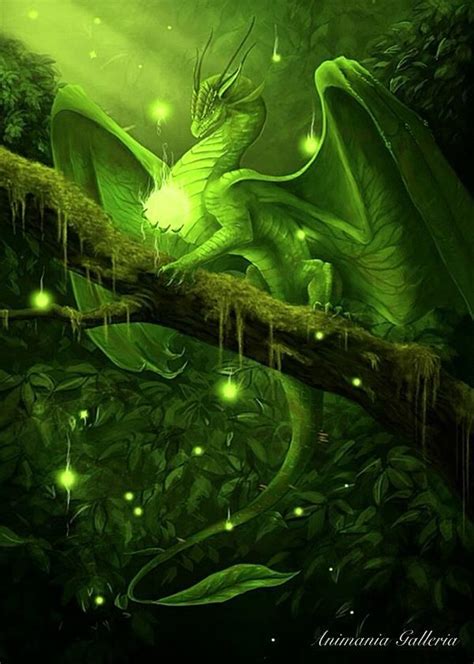 Aphaia My Female Earth Dragon Dragon Art Dragon Pictures Mythical