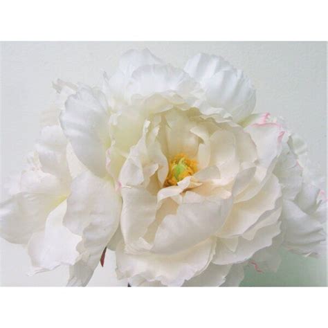 Youll Love The Peonies Floral Arrangement In Glass Vase At Birch Lane