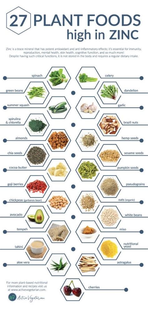 27 Best Sources Of Zinc Foods For Vegans Active Vegetarian In 2020 Foods High In Zinc Zinc