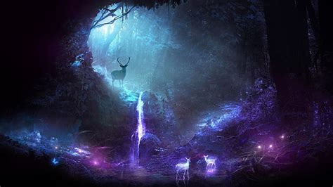 1920x1080px 1080p Free Download Enchanted Forest Forest Colorful