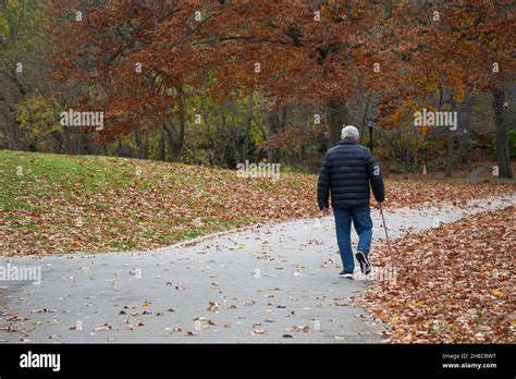 an anonymous older man walking with a cane on a colorful autumn afternoon in queens new york
