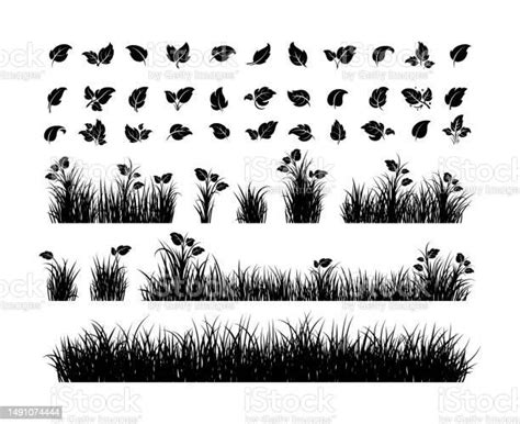 Set Of Black Grass Silhouettes And Leaf Icons Stock Illustration