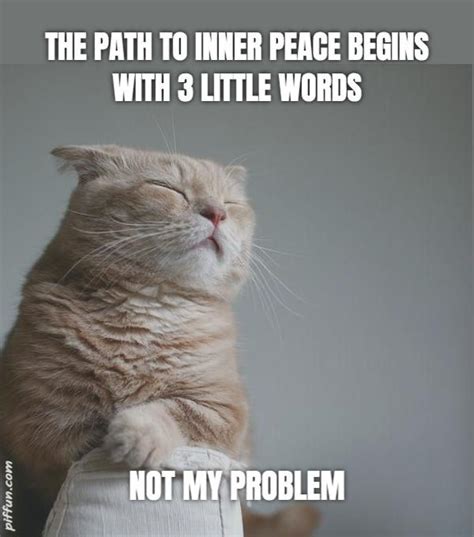 Meme Inner Peace Quotes Funny Shortquotescc