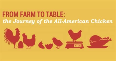 Farm To Table Chicken Check In