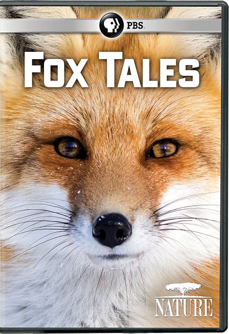 Nature Fox Tales Dvd Uk Pbs Direct Dvd And Blu Ray