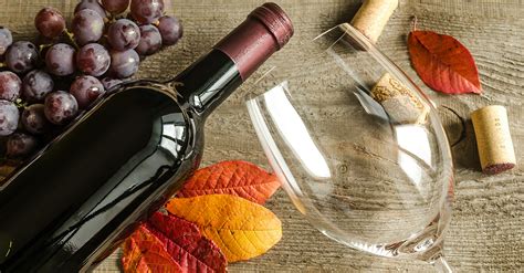 6 Delicious Affordable Wines You Should Be Drinking This Fall Vinepair
