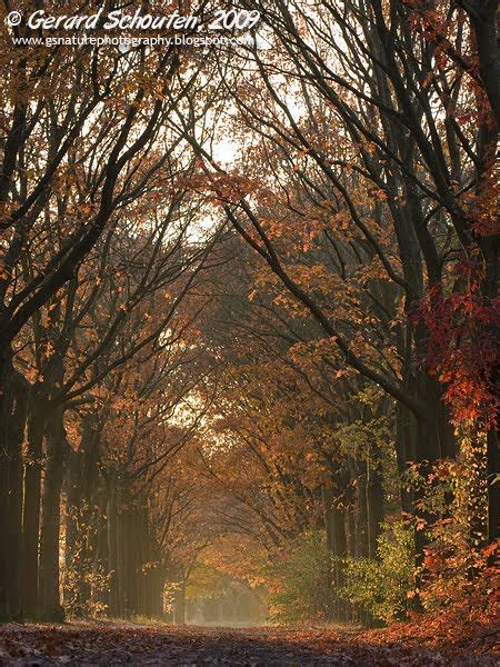 Gerard Schouten Nature Photography October 2009