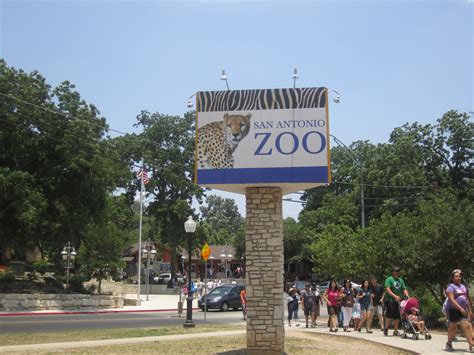 Fileentrance To San Antonio Zoo Img 3110 Wikimedia Commons