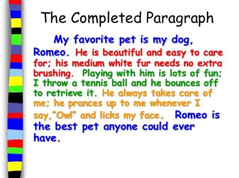 My Favorite Animal Dog Essay