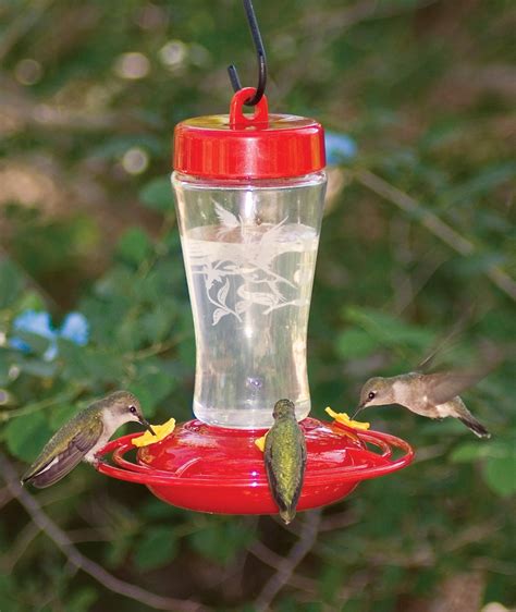 Glass Hummingbird Feeder Replacement Flowers Hummingbird Feeder Tubes Stoppers Made Of Glass