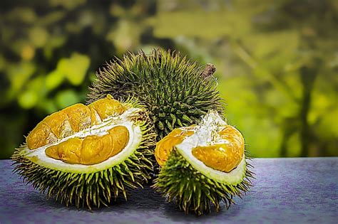 The fruit is contained within a large brown pod that is shaped somewhat like a toe. Which Is The World's Smelliest Fruit? - WorldAtlas.com