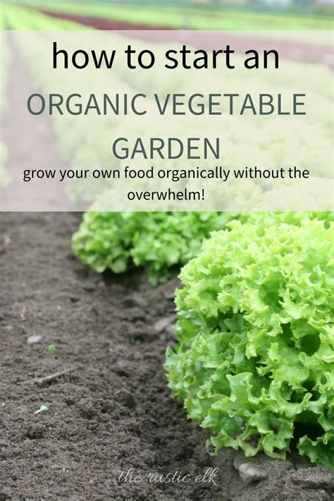 Growing Your Own Food Can Be Incredibly Rewarding But It Can Also Be