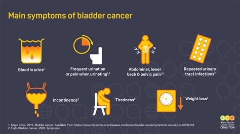 Urinary Bladder Cancer Symptoms Causes Symptoms And Pictures Of My