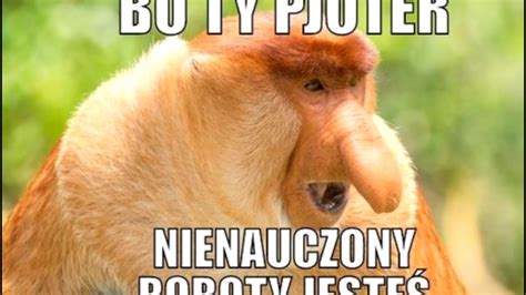 Najlepsze Memy Z Nosaczem The Best Meme Of Janusz Youtube