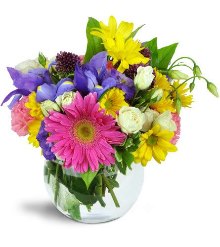 Hotels located in miami, florida. Flowers - Miami, FL Florist