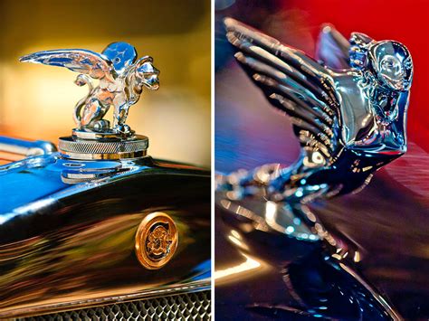 Here is a list of the best roasts with amazing comebacks to use on your friends and much better on enemies. Dark Roasted Blend: Awesome Car Hood Ornaments, Part Two
