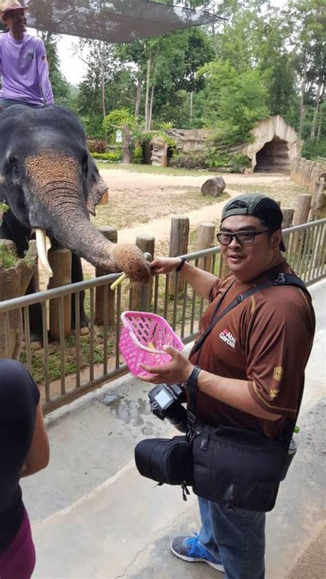 About kenyir elephant conservation village. Sojourn In Terengganu: Kenyir Elephant Conservation ...