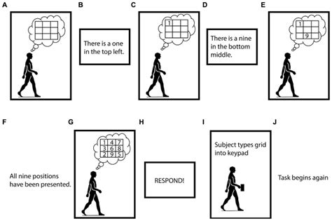 Visual Depiction Of The Brooks Spatial Working Memory Task Panels